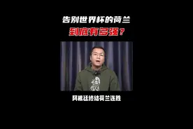 告别世界杯的荷兰，到底有多强？#卡塔尔世界杯 #阿根廷 #梅西 #硬核知识局视频封面