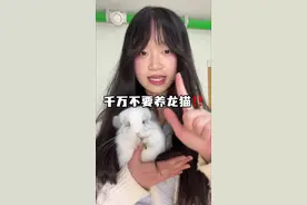 千万不要养龙猫！#龙猫 #神奇动物在抖音 #萌宠出道计划 #龙猫科普 #萌宠视频封面