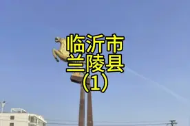临沂市兰陵县，以前叫苍山，2014年改的名，改名原因也是很多方面