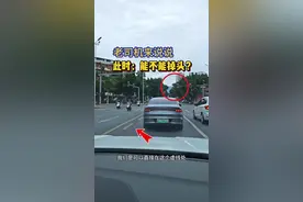 老司机来说说，此时能不能掉头？新手朋友要明白 #每天一个用车知识 #驾驶技巧 #红绿灯路口