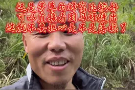 还是芳草坡的马峰好找，可以直接看到蜂窝洞口，这就不要担心，趴树还是穿林了。视频封面