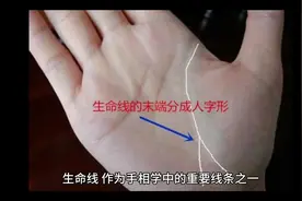 生命线分叉#掌纹的秘密 #国学文化 #易经文化 #命理八字