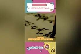 我就说中文是这个世界上最优美的语言，不接受任何反驳！#中文 #翻译 #信达雅