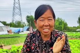 秋分种什么蔬菜 秋分种植什么蔬菜#秋分 #二十四节气 #三农节气 #应季蔬菜时间表 #生菜杨姐 @DOU+小助手