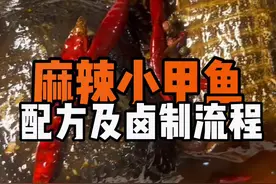 麻辣小甲鱼卤制全过程，配方无保留。一道很有特色的夜宵美食分享给大家。记得点赞收藏哦#麻辣甲鱼 #卤甲鱼配方 #卤味熟食 @DOU+小助手