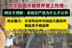 西安警方称并非所有中华田园犬都禁养：看血统不看品种（极目新闻、潇湘晨报）