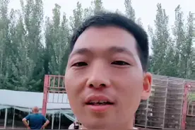 养3000只鹅，到出栏需要投入多少钱？#养鹅技术分享 #狮头鹅养殖 #养鹅人 #三农养殖 #东哥带你养鸭鹅视频封面