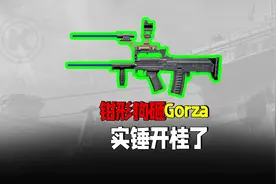 #暗区突围钳形狗砸Gorza平民级枪械，惊现开桂操作#射击游戏