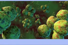 隐球菌肺炎#医学科普 #知识科普 #科普一下视频封面