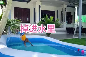 小猴子爬树摘瓜时掉了下来#可爱的小猴子 #神奇动物在抖音视频封面