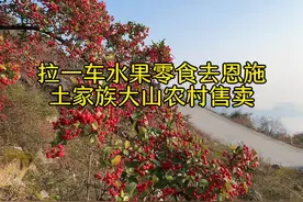 恩施土家卖货郎 第118集 | 拉一车水果零食去恩施土家族大山农村售卖，一天能赚多少钱。视频封面