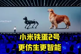 小米仿生机器狗，继铁蛋1号后的第二代升级，更仿生更智能