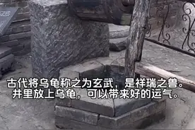 古代通常一口井打好后，人们并不会马上就使用，而是会在里面放上一条鱼或者乌龟，那么为什么会这样做呢？其一，讨一个好兆头，在我国的古代，将乌龟称之为玄武，是祥瑞之兽。水井是一家人的水源，一家人都要靠水井里的水生存，所以古代认为水井是家里的气运源头，在水井里放上一头乌龟，可以给一家人带来好的运气。其二，防止矿物质中毒，因为井水都是来自于地下水，而地下有着各种各样的矿物质，有一些地方的井水，水质重金属严重超标，人如果喝这种水，过不了多久身体就会出现问题。但在古代，人们并不明白什么是重金属超标，他们只知道有些地方的人喝了井里的水，身体就出现了问题。于是就想到了一个办法，放一个活物进水井，如果这个活物喝了水井的水没出问题，那么这个井里的水，人也可以喝。其三，预防他人下毒，除了预防水井原本就带有的毒素之外，这种办法也可以预防人为导致的水质污染。比如说在古代，有些山贼有着这样的操作，他们想打家劫舍，但又担心自己打不过这里的居民，于是就通过在水井里下毒的方式，先将村里的人给毒死，这样就可以轻松收刮财富了。在水井里养一条鱼，就可以很好避免有人向水井投毒这样的事，如果一旦有人投毒，那么鱼肯定就先死了，人就收到了警示，自然也就不会再踏进坑里。其四，解决水井里的其它生物，水井这种环境，非常容易出现青苔，如果青苔数量少，一定程度上还可以净化水源，但如果数量一旦多了起来，就将会危害水质，喝了这种水就容易生病。其次水里也会有着各种各样的虫子，在古代可没有杀虫药这个说法，如果喝了这些带虫卵的水，身体基本要出现问题。所以在水里养条鱼，就可以将这些人们不喜欢的生物基本解决掉。很多的水井，已经形成了一个较为完整的生态圈，水井里的鱼和乌龟，他们以虫子和青苔为食，这样就可以保证水质的安全。水井又是和地下水互通的，鱼和乌龟的粪便并不多，可以轻松地排出去，也并不会污染水质。而且乌龟也是一种长寿动物，如果家里一直养着一只乌龟，也象征着吉祥如意。