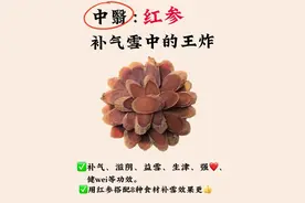 红参补气雪最佳食材，搭配八种食材效果更好。#养生之道 #喝出好气色 #女人最佳补品 #滋补佳品 #女人越早知道越好   1、红参当归茶 红参5片 当归3g 做法：红参与当归放入养生壶中，加入 250毫升饮用水，煮开后保持沸腾10分钟即可饮用。 作用∶气雪不足、易疲劳精力不足者。 长期熬夜的人。  2、红参玫瑰茶 红参5片 玫瑰花8朵 做法：将红参与玫瑰花放入杯中加入 250毫升开水，加盖闷泡15分钟即可饮用。 作用∶面色发黄、没精神、气雪不畅、 长期熬夜的人。  3、红参麦冬茶 红参5片 麦冬3g 做法：将红参与麦冬放入养生壶里煮15 分钟即可饮用，可反复煮至无味，每周饮用12次，不宜连续饮用。 作用：气雪不足、面色la黄、体虚fa力、 掉发多及睡mian不佳的人群。  4、红参桂圆茶 红参5片 干桂圆5颗 做法：干桂圆去核，与红茶一起放入 养生壶中，加入250毫升水，煮10分钟左右即可。 作用：气雪不足、睡mian不佳、烦zao不 安的人群。  5、红参陈皮茶 红参5片 陈皮3g 做法：将红参与陈皮放入杯中，加入 250毫升水，盖好盖子闷泡10左右即可饮用。 作用∶wei口不佳、消化不良、ji'食、气  zhi不畅者。  6、红参菊花茶 红参5片 干菊花5g 做法：将红参与菊花放入杯中，加入 250毫升沸水，盖好盖子闷泡10左右即可饮用。 作用：内re重、眼睛干se者  7、红参藏红花茶 红参5片 藏红花7根 做法：将红参与藏红花放入养生壶中， 加入250毫升水，煮10分钟左右即可饮用。 作用：美容养颜，想要皮肤水嫩红润 有光泽的人。 8、红参黄芪茶 红参5片 黄芪5g 做法：将食材洗净，放入杯中，加入 开水，盖好闷泡15分钟即可饮用。 作用：精神不佳、气雪不足、虚han多、 易pi劳、面色an黄、手脚冰凉、嘴唇无华者。