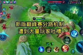 新版巅峰赛分路机制遭到大量玩家吐槽 #新赛季 #巅峰赛