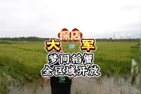 #燕郊 #抓螃蟹 #亲子游玩好去处 #带孩子玩的好地方视频封面