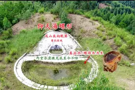 名坟古迹—曾氏古坟—仰天海螺形—戌山辰向兼乾巽吉度分金—