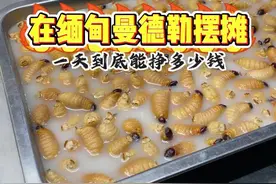 在缅甸曼德勒夜市摆摊一个月能挣多少？这边摊主基本是华人 #缅甸曼德勒#缅甸华人#缅甸视频封面