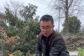 番茄怎么育苗？播种番茄苗？番茄播种过程？#关注我一起学种菜 #种植小技巧 #学种菜 #每天分享蔬菜种植技巧 #楼顶种菜