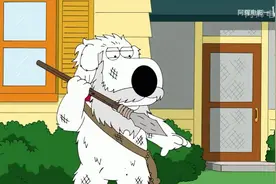 恶搞之家，恶犬布莱恩被臭鼬袭击后觉醒  决定回归野性不当家养犬