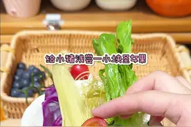 今天是大鼻孔猪的蔬果大餐！ #萌宠 #荷兰猪