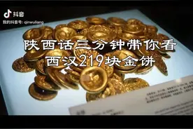 西汉219块金饼。#人文星闪耀计划 #玩梗趣讲冷门历史 #抖音创作计划视频封面
