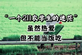 一个211农学生的迷茫：虽然热爱，但不能当饭吃 #农学生
