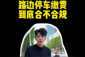 路边画线停车位收费到底合不合理#带你懂车 #路边停车收费 #抖音汽车视频封面