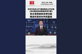 中共中央办公厅 国务院办公厅印发《深化集体林权制度改革方案》充分发挥森林多种功能，推进农民农村共同富裕视频封面
