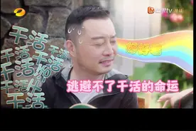 #沙溢 每次来都逃避不了要干活#黄磊#何炅#综艺 #哈哈哈哈哈哈我要笑死了视频封面