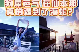 谁懂 第一天就遇到了海蛇 第二天就有人被蛇咬了#仙本那