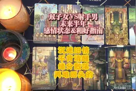 双子女VS射手男 未来半年感情状态&和好指南 双子女VS射手男