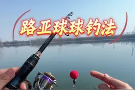 一个视频看懂路亚逗钓和球球钓法的操作 原理 状态 #路亚 #球球钓法 #钓鱼技巧 #路亚逗钓 #路亚球球钓法视频封面
