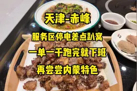 天津接单到赤峰 一单跑完直接下班 高速上服务区没电差点趴窝视频封面