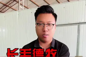 德牧，你们喜欢长毛还是短毛？ #训犬学校 #狗狗 #德牧 #养狗经验分享