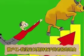 散户乙-我坚定长期持有泸州老窖的理由#人人能听懂的投资学视频封面