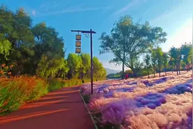 刘家峡花海公园位于甘肃省临夏回族自治州永靖县刘家峡镇黄河文…