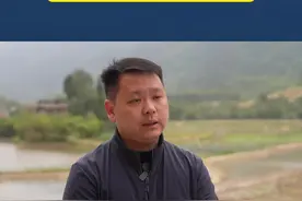 重庆永川：高标准农田改造后灌溉便利，种植模式由一季变两季