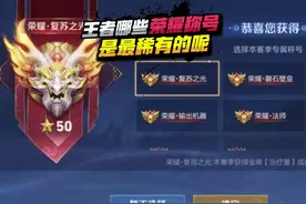 王者荣耀称号你们觉得哪个是最稀有的 呢？#王者荣耀