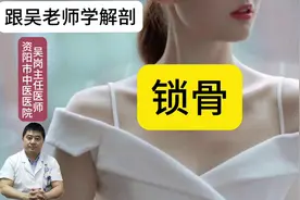 跟吴老师学解剖：锁骨。#医学科普 #人体解剖学