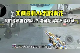 实测最新Ak雅韵青花！是满穿不是双穿！#cf手游天降麒兵 #cf手游视频封面
