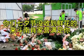 浪漫体验，斗南肖家营垃圾堆捡花#云南鲜花 #把去昆明捡花列入人生清单 #在云南路边都能捡到鲜花 #垃圾堆捡花 #斗南花卉视频封面