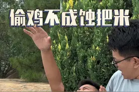 兄弟们，烧牌有风险，诈烧需谨慎啊#多乐够级 #山东够级 #够级宝哥视频封面