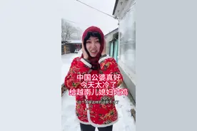 越南小武#中国的公婆对越南儿媳妇真好早上起来就杀鸡炖蘑菇今天零下20度视频封面