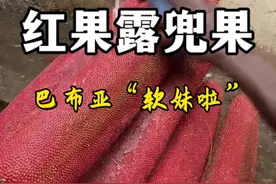 巴布亚的“软妹啦”，红果露兜树的果实，也叫做油露兜果。看着暗黑，但味道不错。#植物科普 #一日一植物 #巴布亚