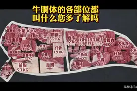 #上热门 全网最完整的牛部位分解名称视频来了，点赞加收藏。