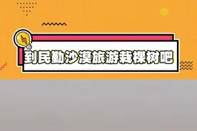 向上生长的是希望，向下扎根的是树苗，请到民勤沙漠旅游栽颗树吧#十个勤天#民勤种树#绿进沙退#沙漠变绿洲#民勤