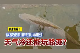 天气冷还能玩路亚？实战选饵作钓小秘密，真好用！#技巧 #干货