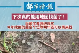 #采菌宝典照进现实 今年找到的菌定个位等明年还可以再来找！#真正的高手都会给菌窝定位视频封面