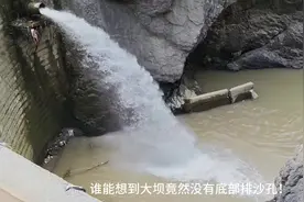 第一次遇见没有排沙底孔的大坝，几十年后不就是死库了么？